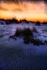 sunset on Dauphine island