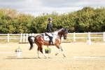 SBM_009859