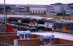 30th August 1998