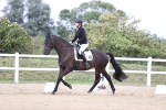 SBM_017944