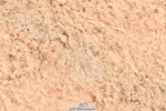 230507A-133305-08048