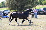 WJ6_4871