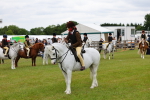 SBM_08732
