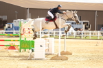 SBM_010386