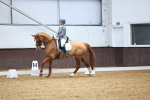 SBM_007951