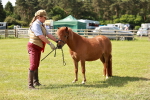 SBM_01785