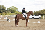 SBM_009454