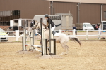 SBM_007655
