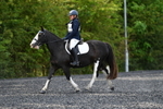 WJ5_9037
