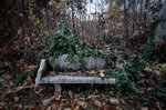 Abandoned Jewish Cemetery Bench