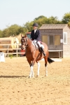 SBM_000339