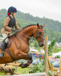 Dunblane show-317