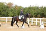 SBM_003148