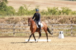 SBM_001736