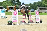 Cls 90 Newcomers & 1.10m Open Amateur Final portfolio