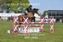BPP_6961