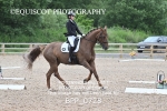BPP_0728