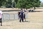WJ6_9477