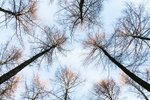 Macclesfield Forest (1)