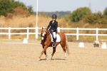 SBM_017563