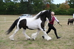 WJ6_5387