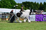 SBM_19355