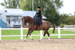 Class 24 - SSA Concours d'elegance (any age) portfolio