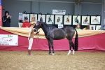 SBM_16161