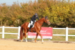 SBM_009355