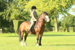 SBM_59916