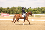 SBM_001404