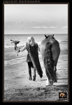 equiscot 1526