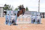 BPP_8994