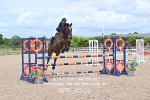BPP_8506