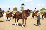 SBM_02338