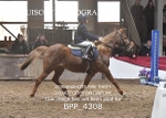 BPP_4308