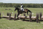 BVHT 140517  IXC -639
