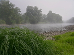 Allegheny Fog