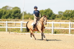 SBM_000732