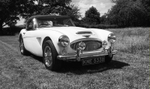 Austin Healey 3000