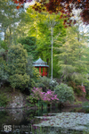 Portmeirion gardens