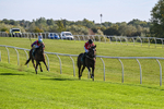 300926-Race 1-Bladey Lady-5811