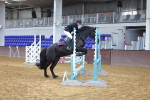 SBM_001790
