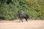 WJ6_6769