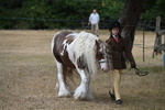 WJ6_7902