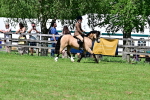 SBM_07970