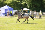 SBM_13490
