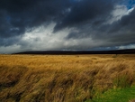 Round Hill