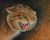 Highland Tiger