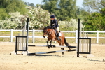 SBM_007235